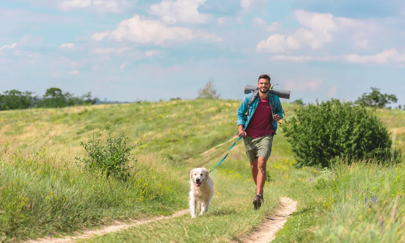 Mann läuft mit einem Hund auf einem Weg durch eine grasbewachsene Landschaft