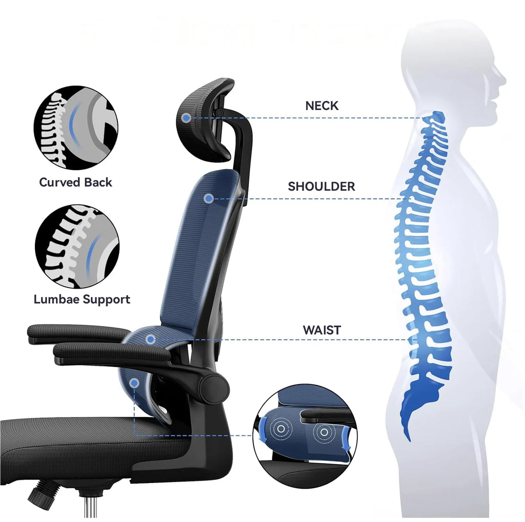 Ergonomischer Norevia Ergonomische Bureaustoel mit beschrifteten Teilen und einer Wirbelsäulenillustration auf weißem Hintergrund