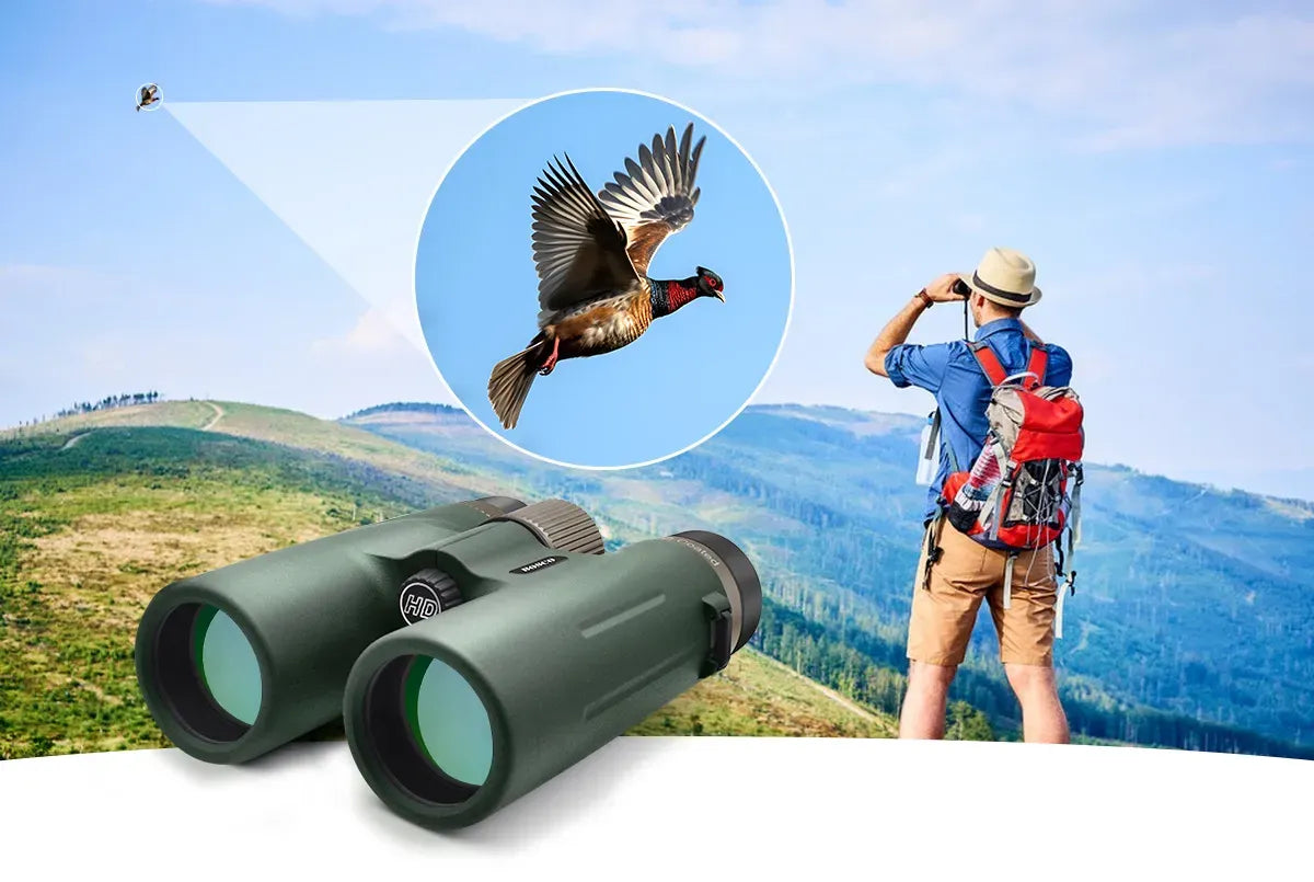 Person beobachtet einen Vogel mit Bosco Ferngläsern C9 in einer malerischen Outdoor-Umgebung